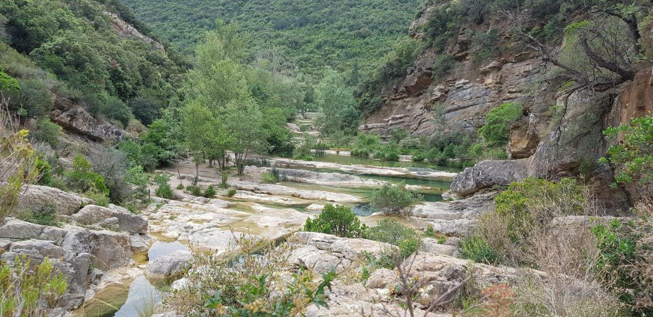 Les Chalets Du Relais D'Aguilar Tuchan Buitenkant foto